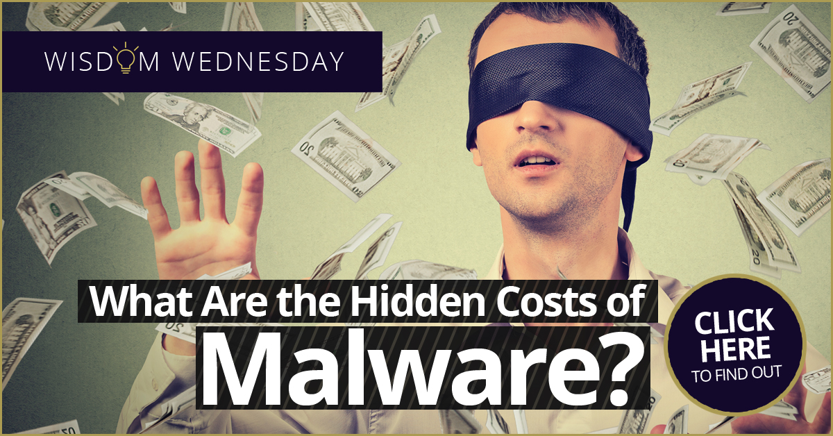 WW-Hidden-Costs-of-Malware