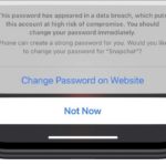 About That Message That Says Your Password Has Been Breached…